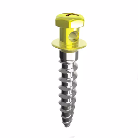 Microimplante GS V Cylinder Type